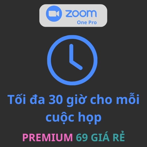 Nâng cấp Zoom Chuyên Nghiệp Pro chính chủ (12 tháng) - Ảnh 2