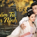 Poster phim Cẩm Tư An Ninh – The Rise of Ning với hình ảnh cặp đôi chính ôm nhau dưới tán cây vàng trong khung cảnh cổ trang lãng mạn.